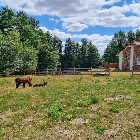 Pet Friendly Appartamento