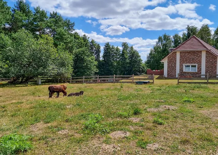 Pet Friendly 아파트